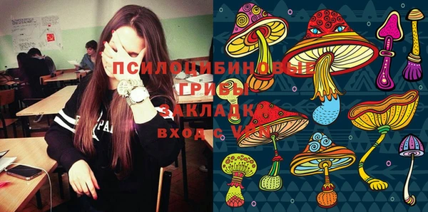 бошки Алексеевка