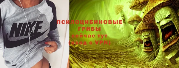 бошки Алексеевка